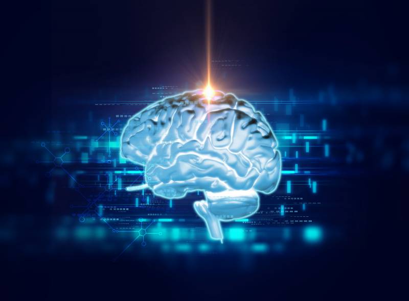 coaching neuroscience